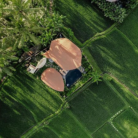 Arapan Ubud Eco Villa Εξωτερικό φωτογραφία